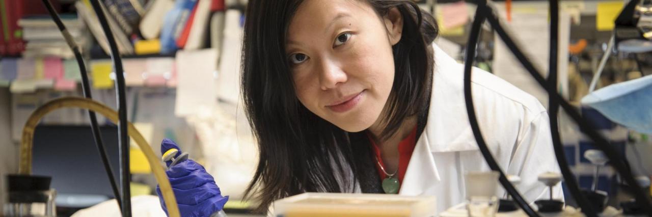 Research | Obstetrics & Gynecology