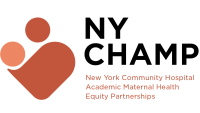 The logo for NY-CHAMP